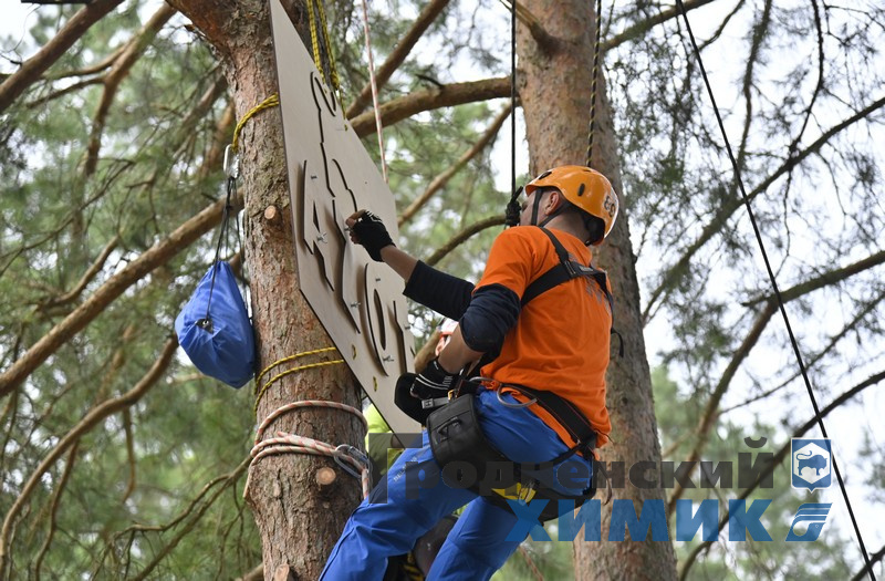 345667879778 (32).jpg